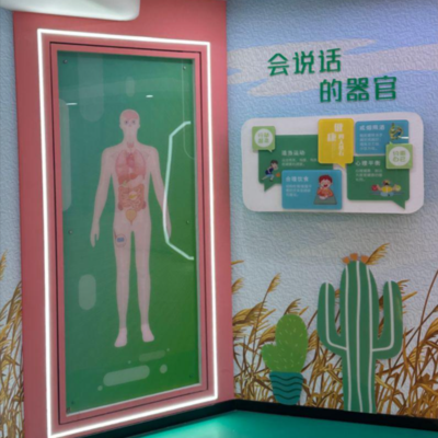 会说话的器官互动