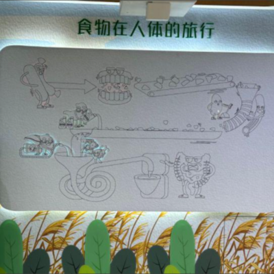食物的旅行