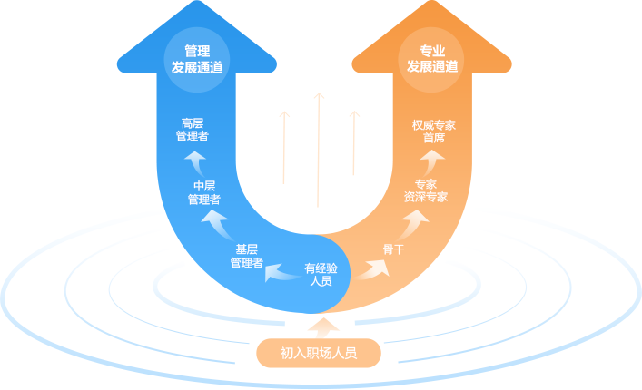 职业发展双通道图片