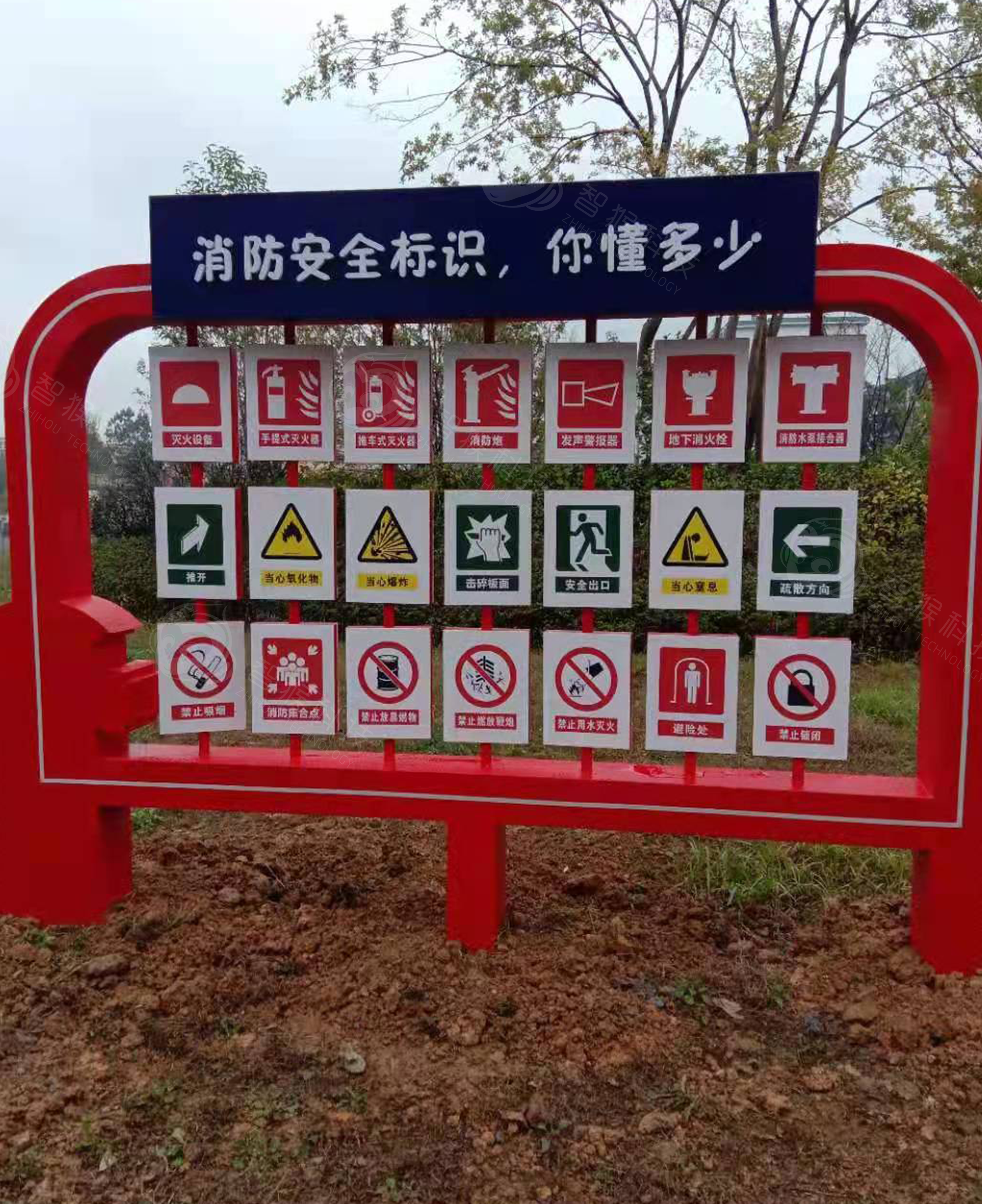 画板 11.png